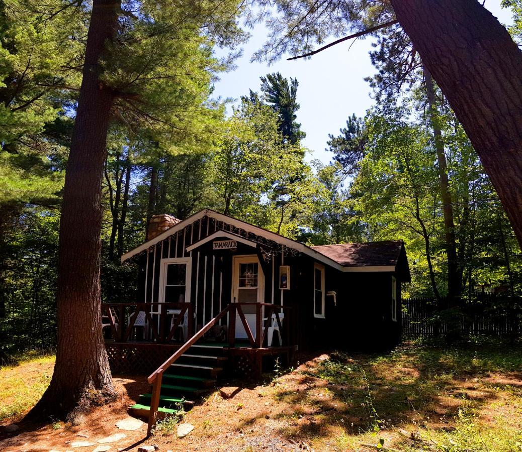 The Wilderness Inn: Chalets Wilmington Zewnętrze zdjęcie